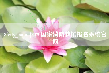 青岛2020国家消防救援报名系统官网