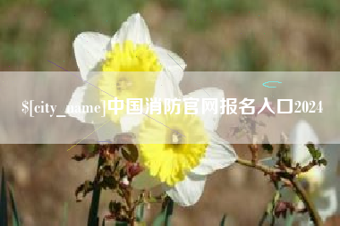青岛中国消防官网报名入口2024