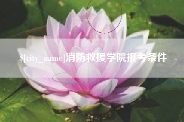 青岛消防救援学院报考条件