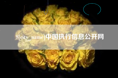 青岛中国执行信息公开网