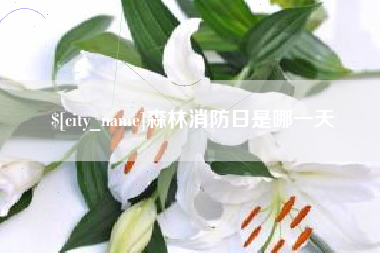青岛森林消防日是哪一天