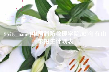 青岛中国消防救援学院2020年在山东招生计划表