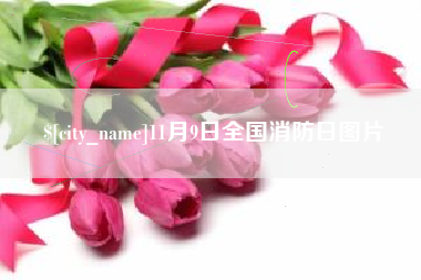 青岛11月9日全国消防日图片