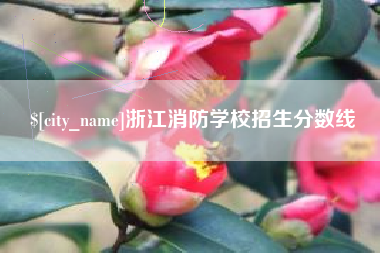 青岛浙江消防学校招生分数线