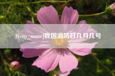 青岛我国消防日几月几号