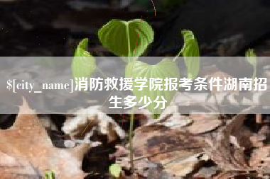 青岛消防救援学院报考条件湖南招生多少分