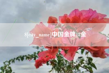 青岛中国金牌18金