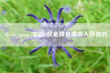 青岛中国6枚金牌是哪些人获得的