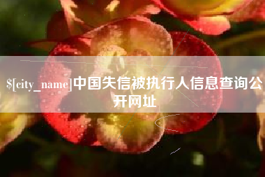青岛中国失信被执行人信息查询公开网址