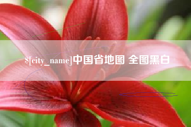 青岛中国省地图 全图黑白