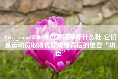 青岛5000米世界冠军穿什么鞋-它们是运动员取得优异成绩背后的重要“功臣”