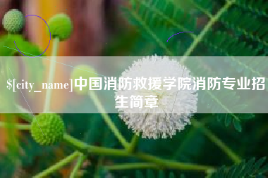 青岛中国消防救援学院消防专业招生简章