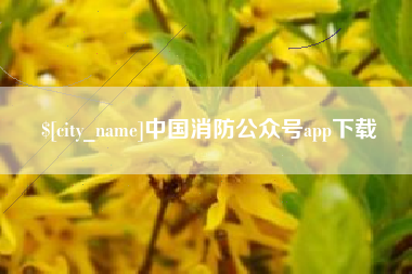 青岛中国消防公众号app下载
