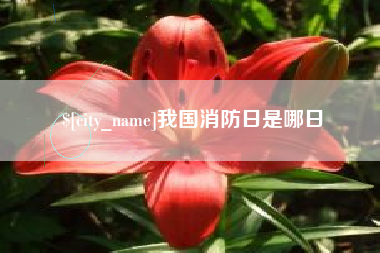 青岛我国消防日是哪日