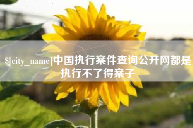 青岛中国执行案件查询公开网都是执行不了得案子