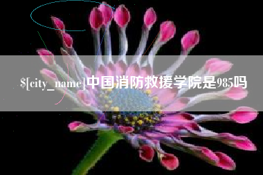 青岛中国消防救援学院是985吗