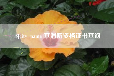 青岛查消防资格证书查询