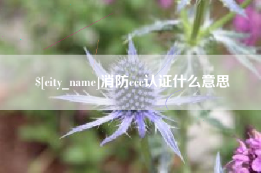 青岛消防ccc认证什么意思