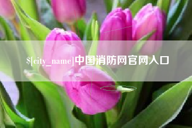 青岛中国消防网官网入口