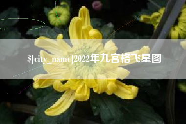 青岛2022年九宫格飞星图