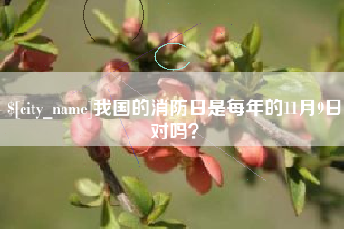 青岛我国的消防日是每年的11月9日对吗？