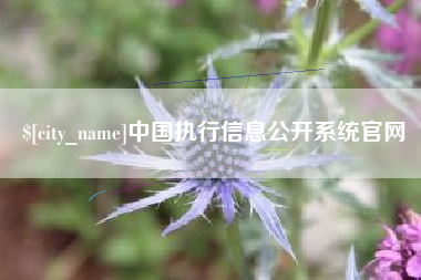 青岛中国执行信息公开系统官网