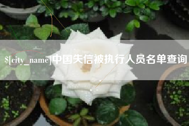 青岛中国失信被执行人员名单查询