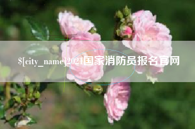 青岛2021国家消防员报名官网