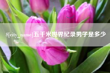 青岛五千米世界纪录男子是多少