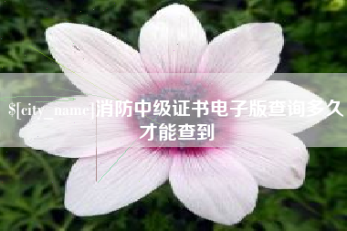 青岛消防中级证书电子版查询多久才能查到
