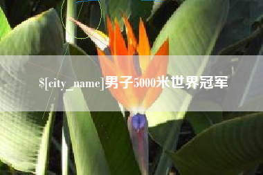 青岛男子5000米世界冠军