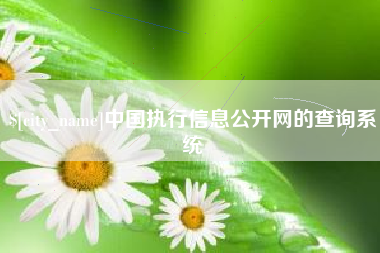 青岛中国执行信息公开网的查询系统