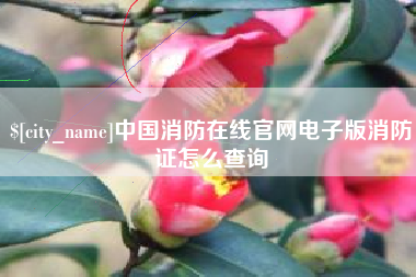 青岛中国消防在线官网电子版消防证怎么查询