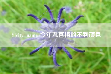青岛今年九宫格的不利颜色