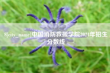 青岛中国消防救援学院2024年招生分数线