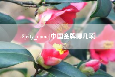 青岛中国金牌哪几项
