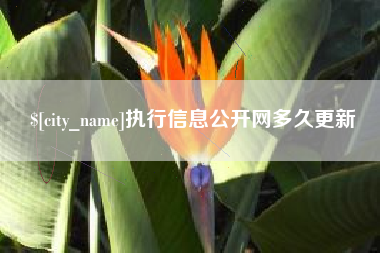 青岛执行信息公开网多久更新