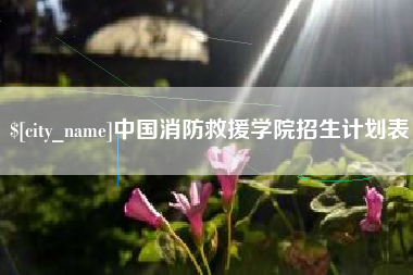 青岛中国消防救援学院招生计划表