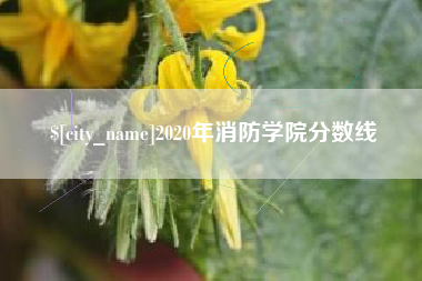 青岛2020年消防学院分数线