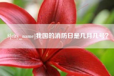 青岛我国的消防日是几月几号？