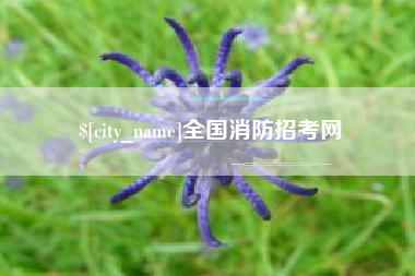 青岛全国消防招考网