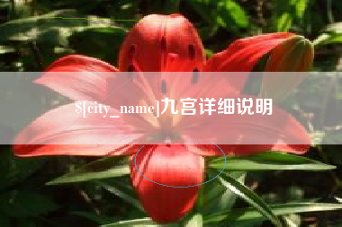 青岛九宫详细说明