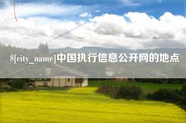 青岛中国执行信息公开网的地点