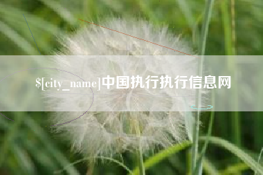 青岛中国执行执行信息网