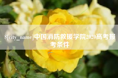青岛中国消防救援学院2020高考报考条件