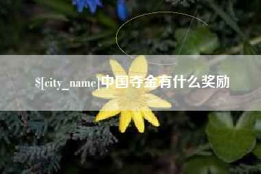 青岛中国夺金有什么奖励