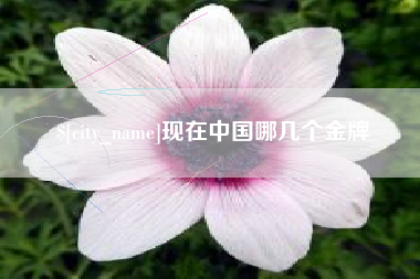 青岛现在中国哪几个金牌