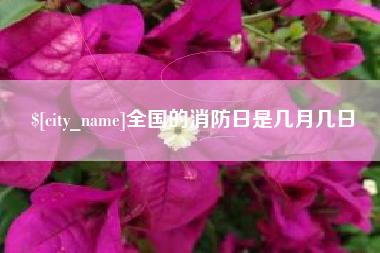 青岛全国的消防日是几月几日