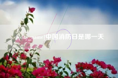 青岛中国消防日是哪一天