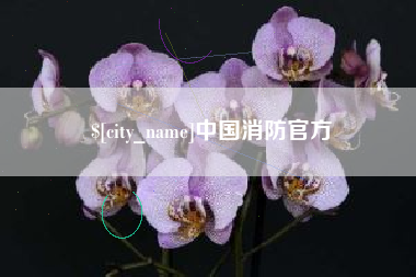 青岛中国消防官方